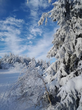 Pustevny - ledové království