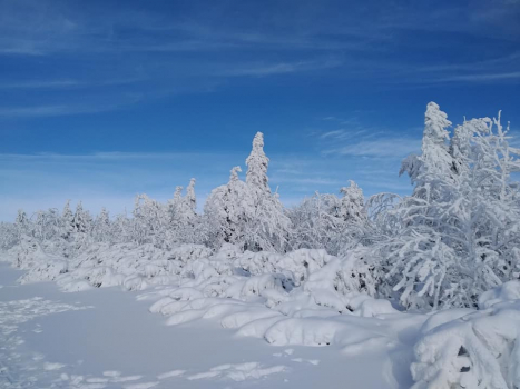 Pustevny - ledové království