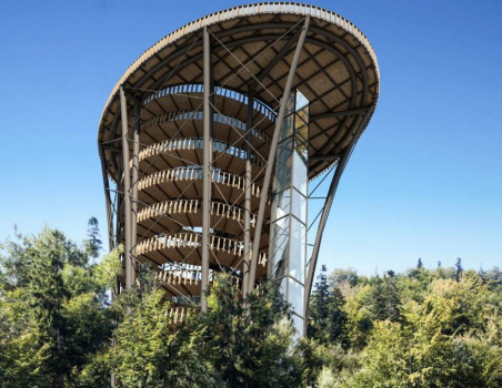 Další stezka v korunách stromů, tentokrát na Čantoryji Další stezka v korunách stromů, tentokrát na Čantoryji