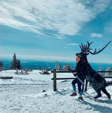 Jaro s jelenem na Lysé hoře